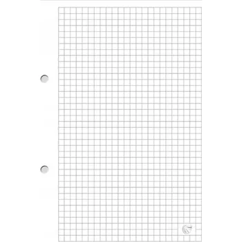 Blok A4 100 listů bílý velký Blok do pořadače s mřížkou (čtverečky) Interdruk