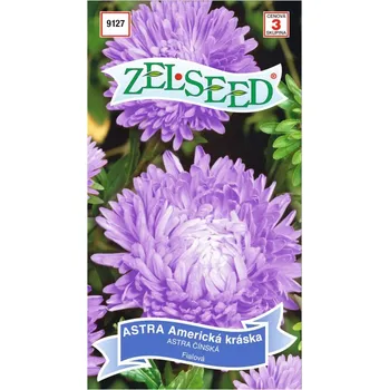 Semeno Semena - ASTRA AMERICKÁ KRÁSKA, fialová