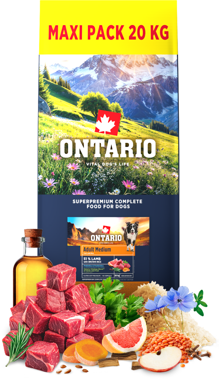 Ontario Adult Medium Lamb & Brown Rice 20kg