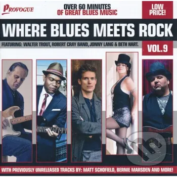 Zahraniční hudba Where Blues Meets Rock 9 - V/A Bertus