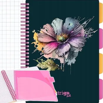 Sešit Sešit B5 s linkami Strigo, 100 listů