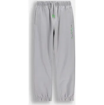 Chlapecké tepláky Joggery šedé, velikost 158 Coccodrillo WC6