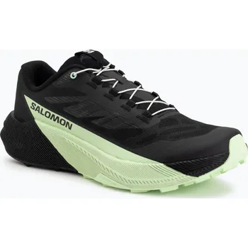 Pánská móda Pánské běžecké boty Salomon Pulsar black/black/patina green