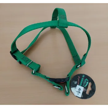 Postroj pro psa Postroj 41890-4 zelený
