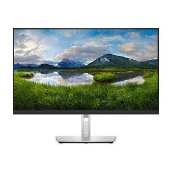 Monitor Dell P2422H - 61 cm (24") - 1920 x 1080 Full HD (DELL-P2422HWOS)