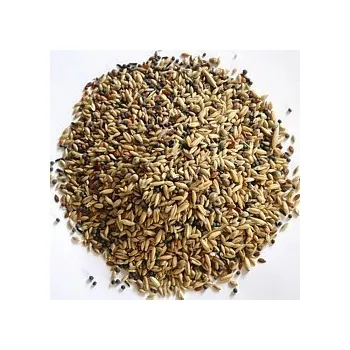 apetit kanár kbelík 3L EXP 30.11.2025