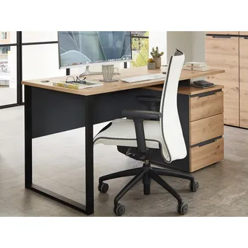 Psací stůl Psací stůl Memphis 120 cm, dub artisan/grafit