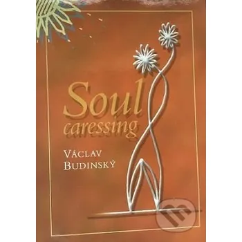 Hlazení duše - Václav Budinský Agentura Lucie