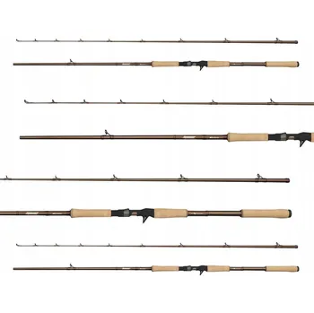 Rybářský prut PRUT ABU GARCIA BEAST PRO CASTING 244/50-200g