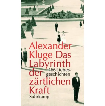 Das Labyrinth der zärtlichen Kraft, m. DVD - Kluge, Alexander