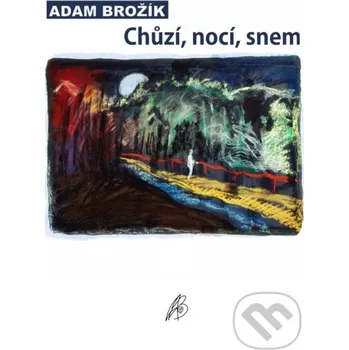 Kniha Chůzí, nocí, snem - Adam Brožík TZ-one
