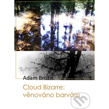 Kniha Cloud Bizarre: věnováno barvám - Adam Brožík TZ-one