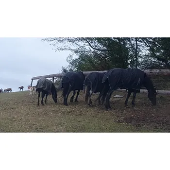 Vybavení pro koně Výběhová deka highneck 600D s fleesem Barva: černá, Velikost: 115