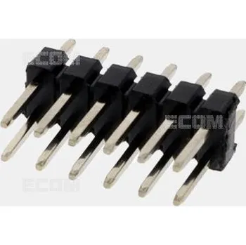 Sběratelství DS1021-2X6SF11-B