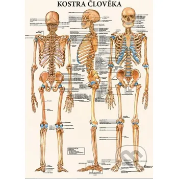 Záložka Mapa - Kostra člověka - kolektív autorov Poznání