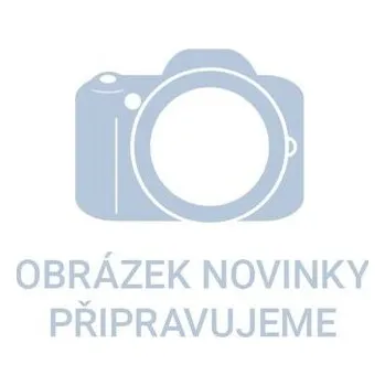 Ruční nářadí Svěrka rychloupínací, 600mm EXTOL PREMIUM 8815225