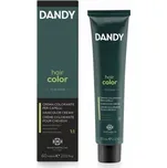 Dandy Hair Color For Men barva 60 ml Odstín barvy: D2 Very Dark Brown