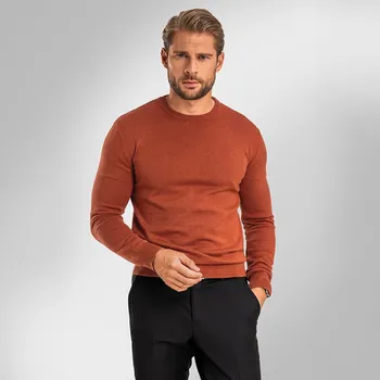 Pánská móda Pánský svetr BANDI, model AUGUSTIO Siena