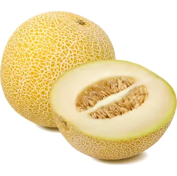Ovoce Meloun Galia, cca 0.74kg