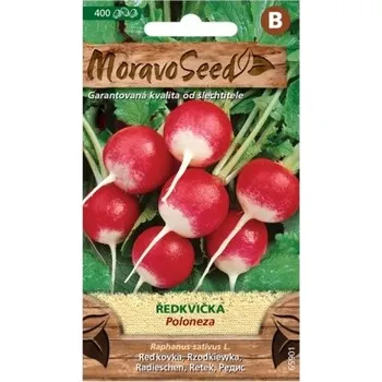 Semeno Ředkvička červenobílá POLONEZA (MS)