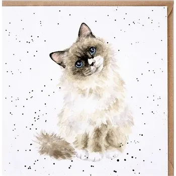 Přání "Paws for Thought", 15x15cm - Kočka