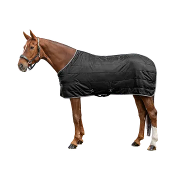 Deka pro koně Waldhausen Stájová deka Economic Waldhausen, zateplení 100g Barva: black, Velikost: 155 cm