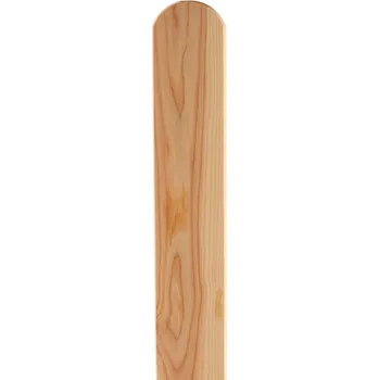 Plotovka Atmowood AW181-120 zakulacená 90 x 20 x 1200 mm modřín