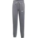 Nike Park 26 Fleece šedé dětské kalhoty IB1252 071 M