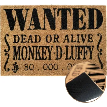 Rohožka Hotová PVC rohožka 60 x 40 cm