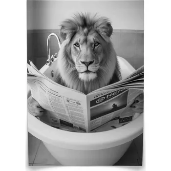 Obraz Plakát Lev ve vaně 50x70 bez rámu 50 x 70 cm