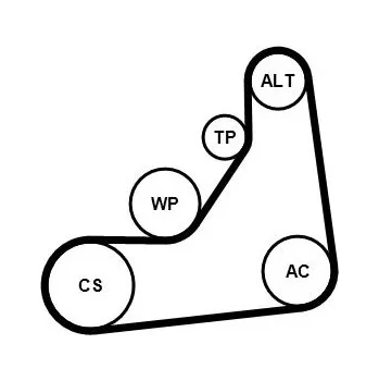 CONTINENTAL CTAM 6PK1153K5 Sada žebrovaných klínových řemenů (6PK1153K5)