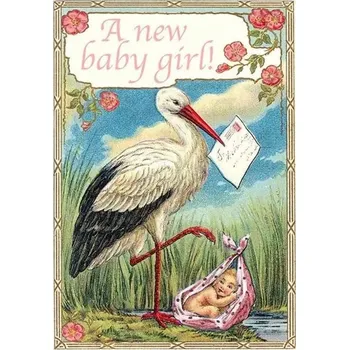 Obraz Přání B6 s obálkou Narození Čáp Holčička