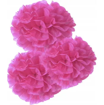 Obraz Dekorativní RŮŽOVÉ bambule (3 ks)