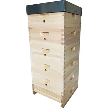 Včelí úl 39×17 – set, cinkovaný bez falcu – Borovice vejmutovka