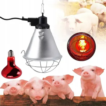 Infrazářič INFRAČERVENÁ VÝHŘEVNÁ LAMPA KVOKA PRO DRŮBEŽ, KACHNY, KUŘATA - SADA