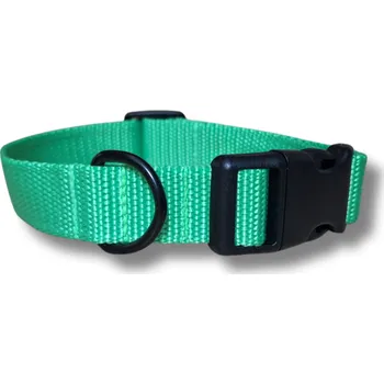 Obojek pro psa Obojek pro mini psy Clasic - NEON ZELENÁ, XXS