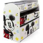 Truhla na hračky Arditex 65 x 60 cm bílá