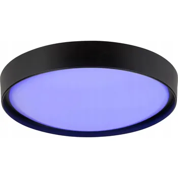 Stropní Svítidlo kulatý Rabalux 50 x 50 cm černý