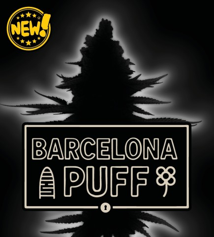 SeedStockers Auto Barcelona Puff© Počet ks Feminizované: 5