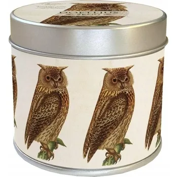 Svíčka Vonná svíčka sova - lesní vůně 205g