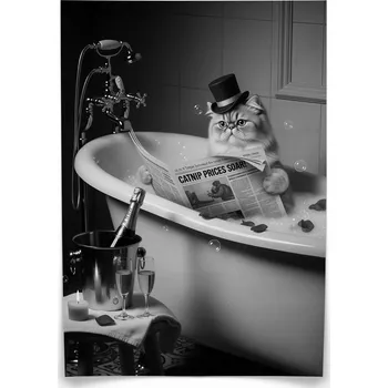 Obraz Plakát Kočka ve vaně 30x40 bez rámu 30 x 40 cm