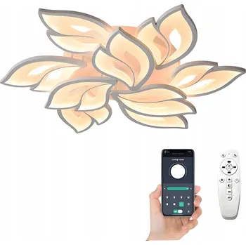 Moderní LED stropní svítidlo stropní svítidlo s dálkovým ovládáním BT