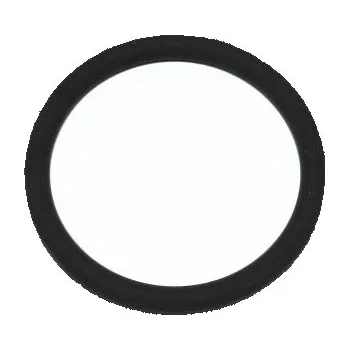 Těsnění motoru ELRING 165.520 Těsnicí kroužek (165.520)