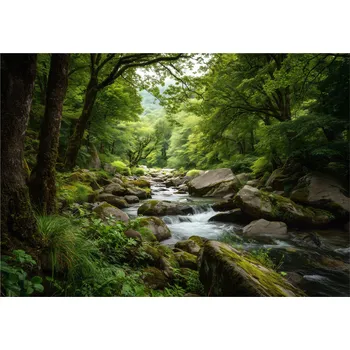 Fototapeta FOTOTAPETA LES PŘÍRODA 3D POTOK LOŽNICE OBÝVACÍ POKOJ TAPETA VLIESOVÁ 400x280