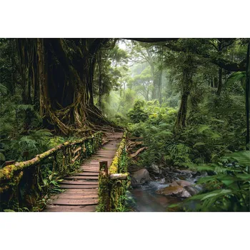 Fototapeta FOTOTAPETA 3D STROMY CESTA V LESE PŘÍRODA NA ZEĎ LOŽNICE OBÝVACÍ POKOJ 350x250