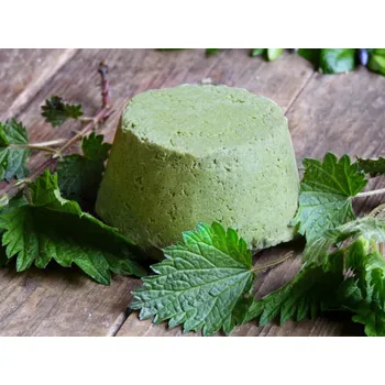 Šampon Přírodní šampuk zelený čaj s kopřivou a keratinem 95g