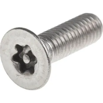 Šroub Bezpečnostní šroub, Prostý Plochá hlavice , Nerezová ocel, M6, délka: 20mm