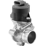 AGR-Ventil BorgWarner 710525D