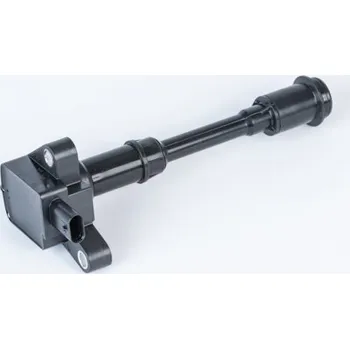 Zapalovací cívka Zapalovací cívka BorgWarner (BERU) ZSE203