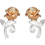 Překrásné stříbrné náušnice pecky Princess E905453TL Disney